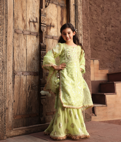 Pista Green Embroidery Kurti Sharara for Girls