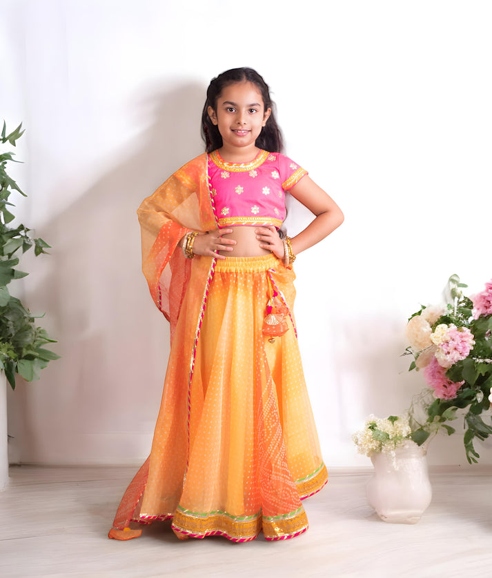 Orange Organza Lehenga Choli Set