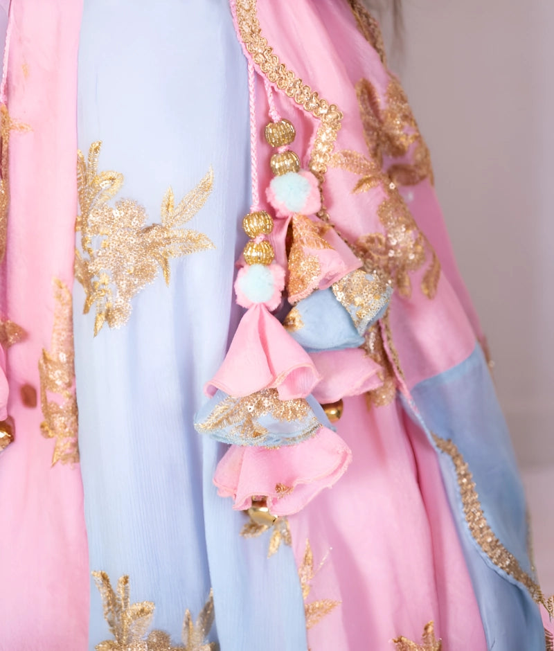 Buy Pink & Blue Embroidered Lehenga Set for Girls Online