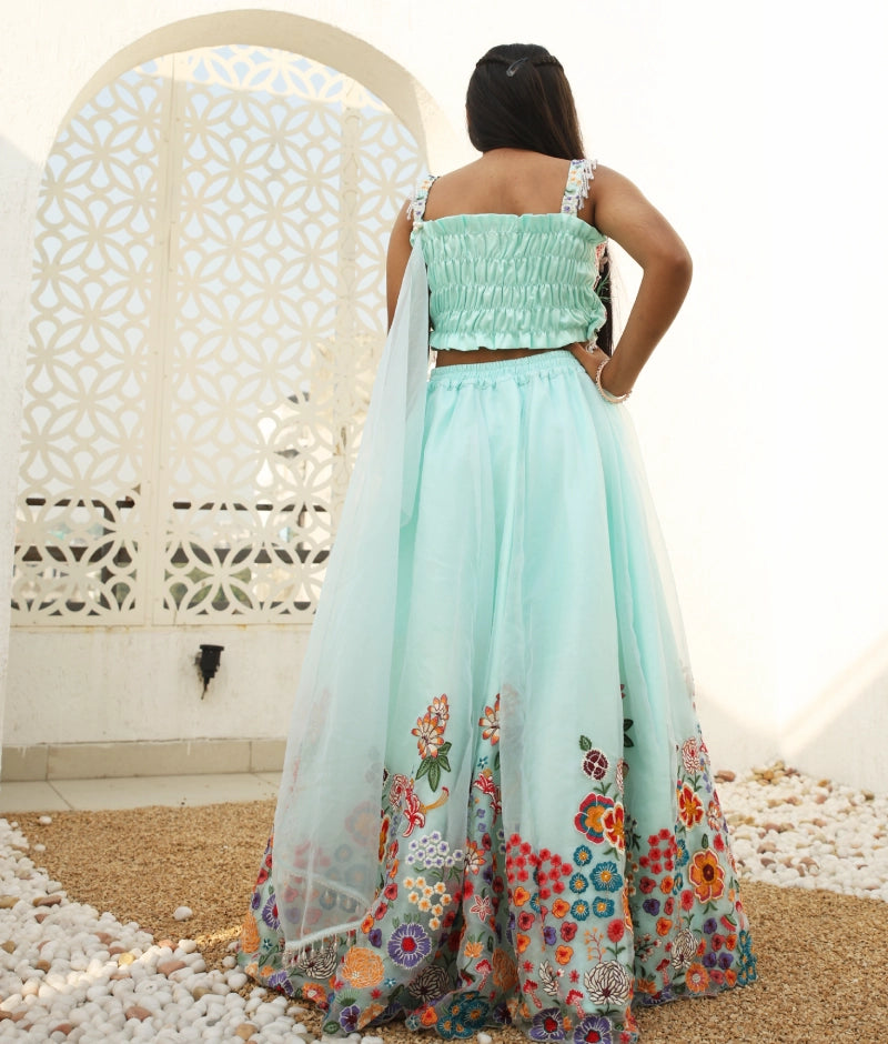 Blue Embroidered Lehenga Choli Set