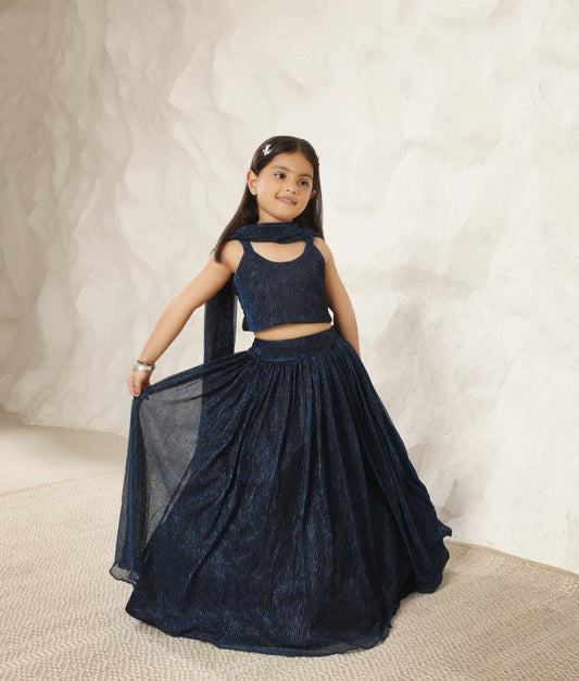 Sparkling Elegance- Blue Pleated Lehenga Choli Set