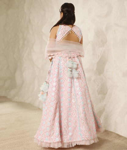 Pastel Dream: Baby Pink Embroidered Lehenga Set