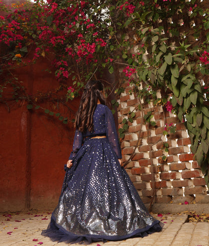 Blue Embroidered Lehenga Choli Set