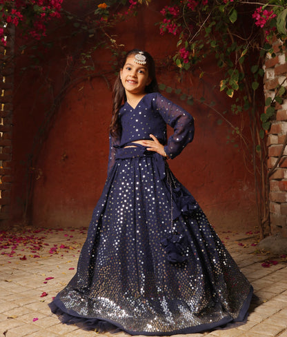 Blue Embroidered Lehenga Choli Set