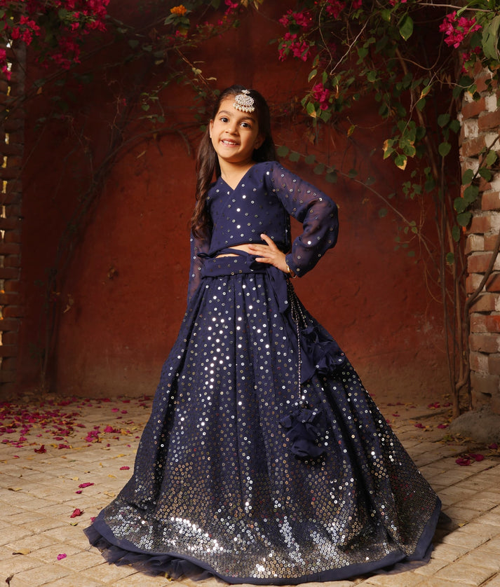 Blue Embroidered Lehenga Choli Set