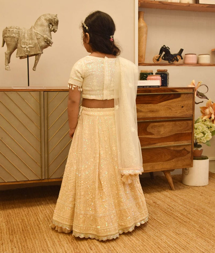 Dreamy Threads: Beige Lehenga Set