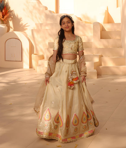 Manufactured by FAYON KIDS (Noida, U.P) Golden Embroidered Lehenga Choli