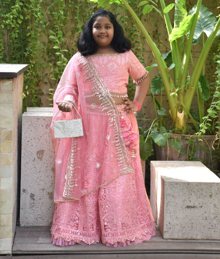 Pink Thread Lehenga Choli