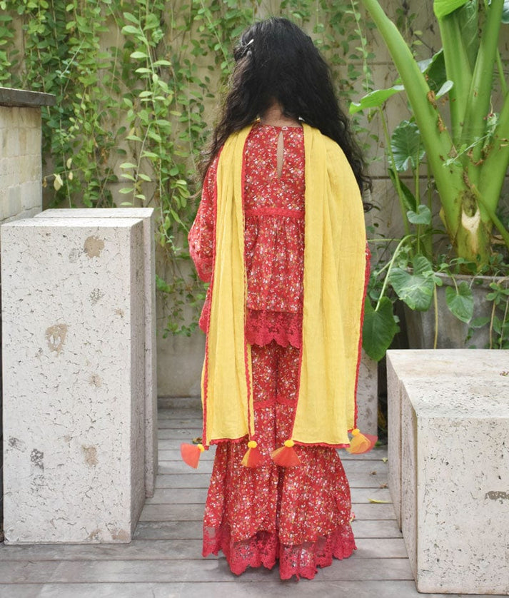 Red Printed Sharara Set