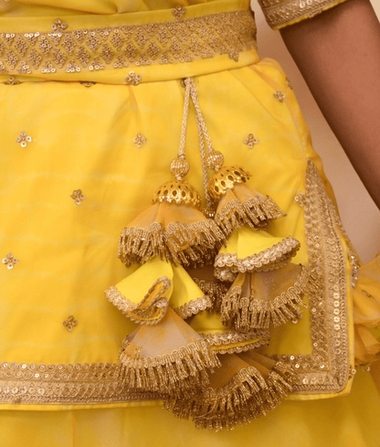 Manufactured by FAYON KIDS (Noida, U.P) Yellow Embroidered Organza Lehenga Choli