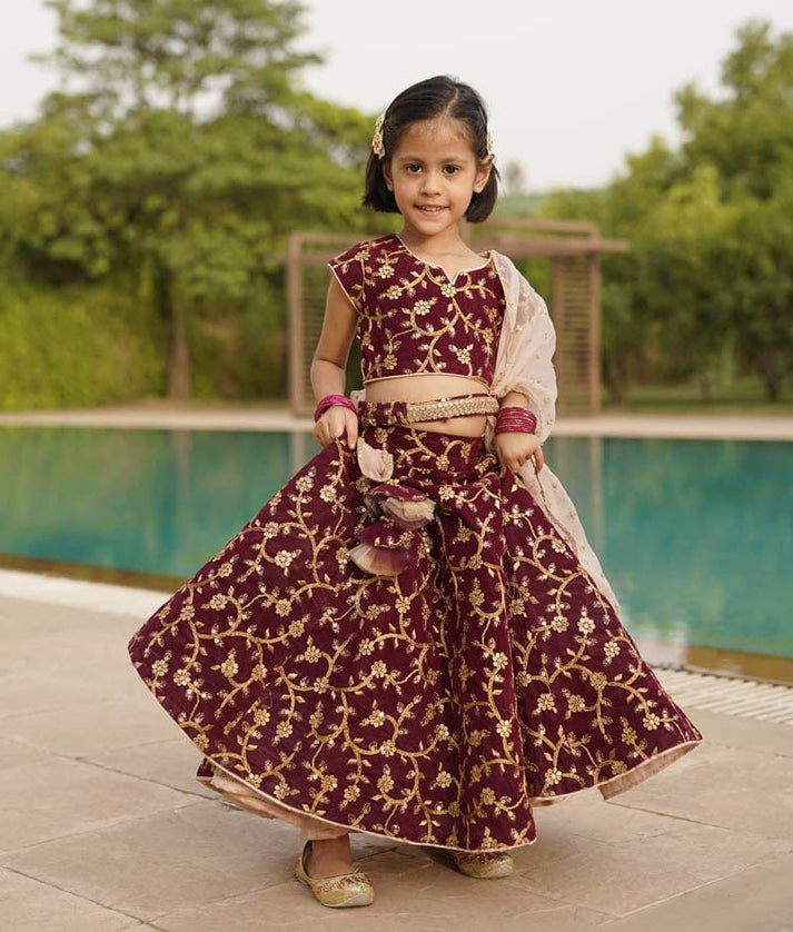 Wine Burgundy Embroidery Velvet Lehenga Choli and Dupatta for Girls