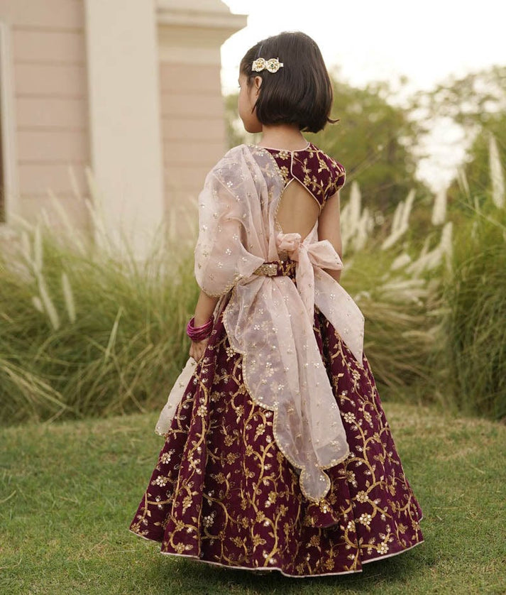 Wine Burgundy Embroidery Velvet Lehenga Choli and Dupatta for Girls