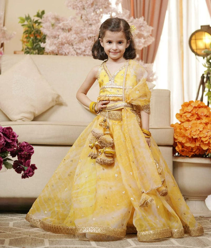 Yellow Printed Organza Lehenga Choli and Dupatta for Girls